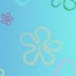 Meet your Posher, Bella